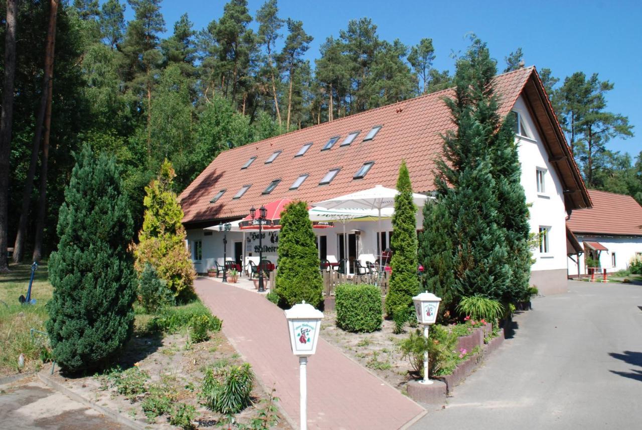 Haus Waldesruh Hotell Petersdorf  Exteriör bild
